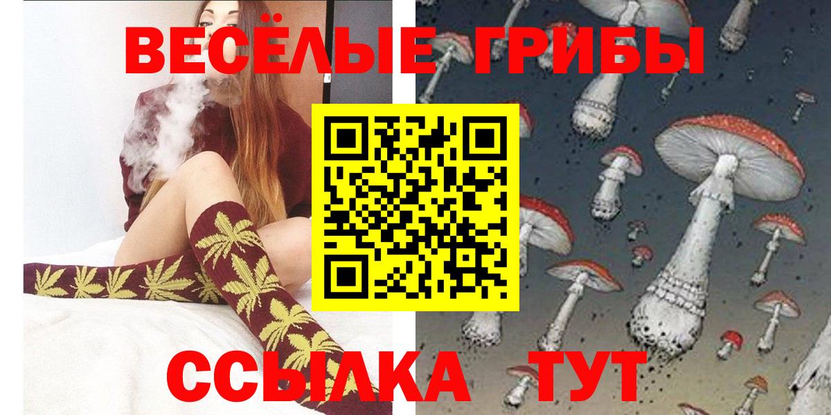 Галлюциногенные грибы Psilocybine cubensis  как найти закладки  Псилоцибиновые грибы ЛСД  Елизово  Вход с VPN 